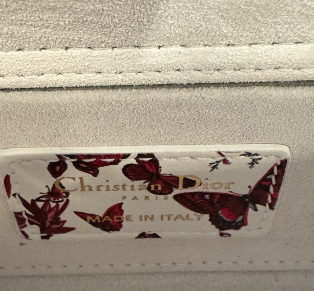Dior Lady D-Joy bag Printed Leather