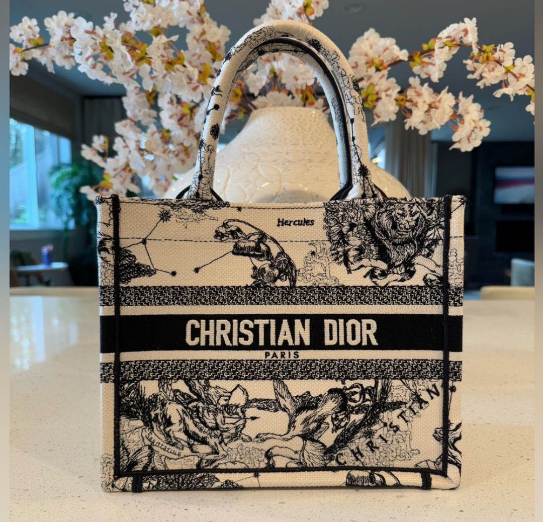 Christian Dior Small Book Tote