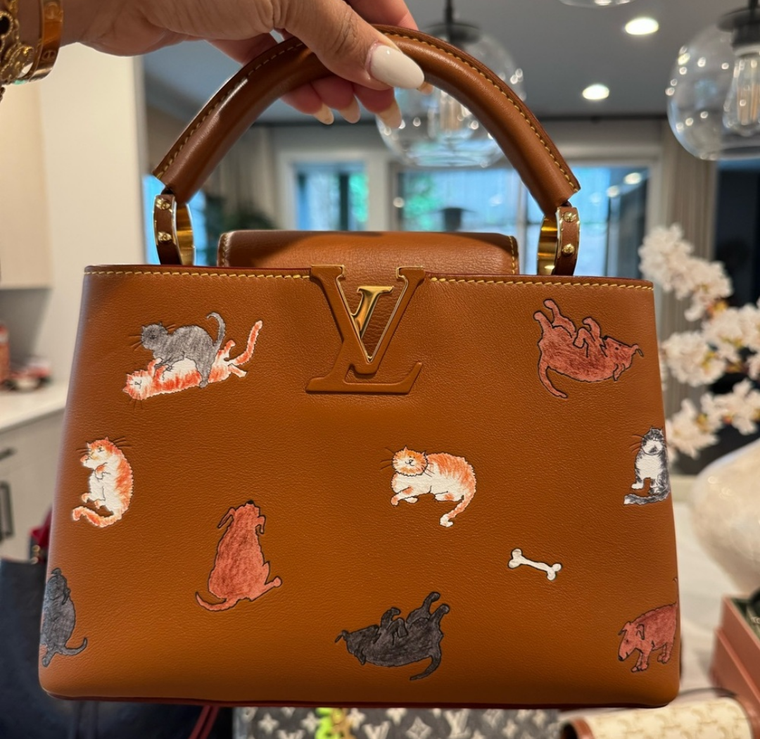 Louis Vuitton Catogram Capucines
