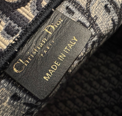 DIOR Blue Trotter Large Book Tote