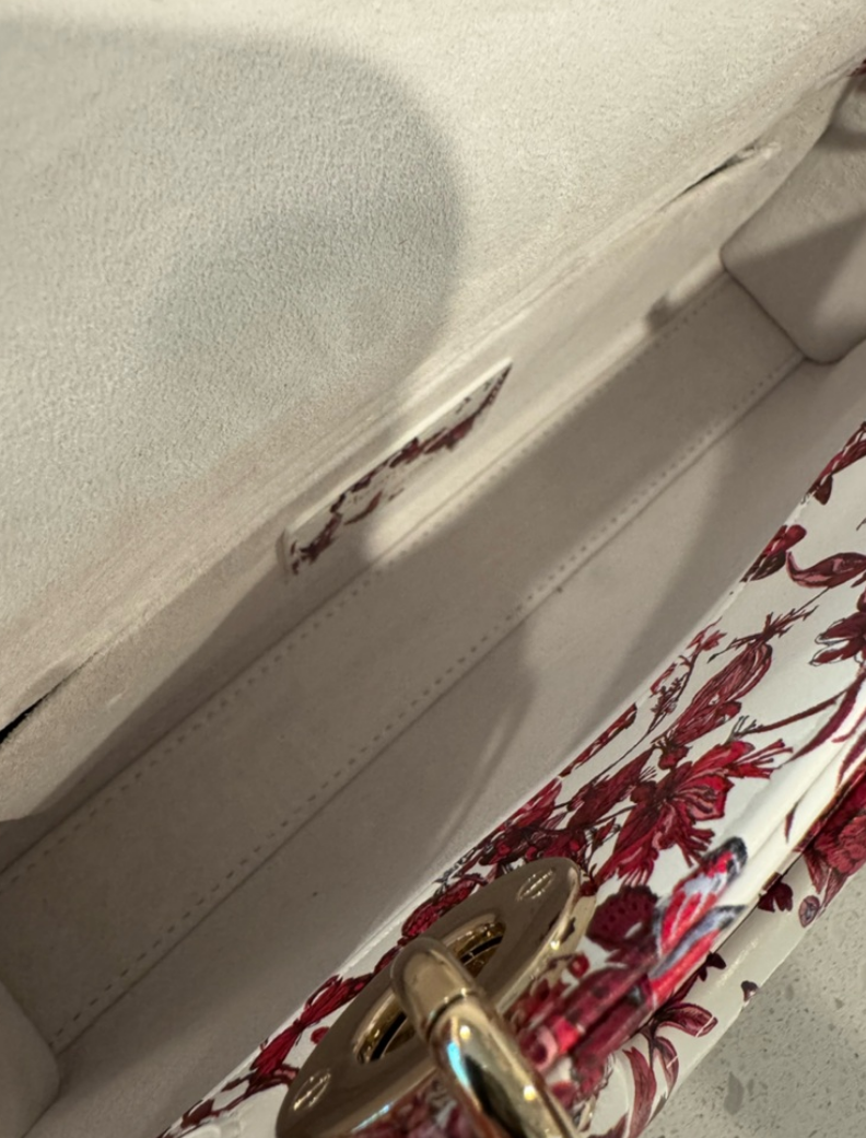 Dior Lady D-Joy bag Printed Leather