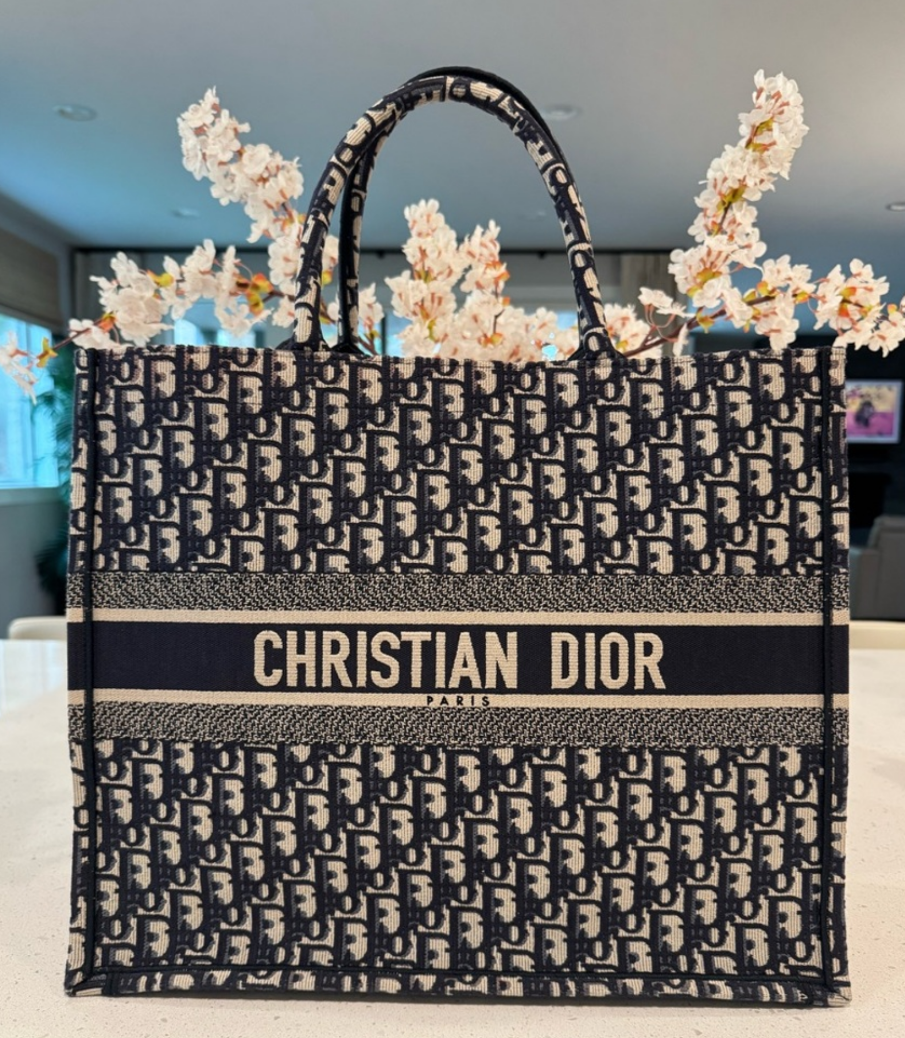 DIOR Blue Trotter Large Book Tote
