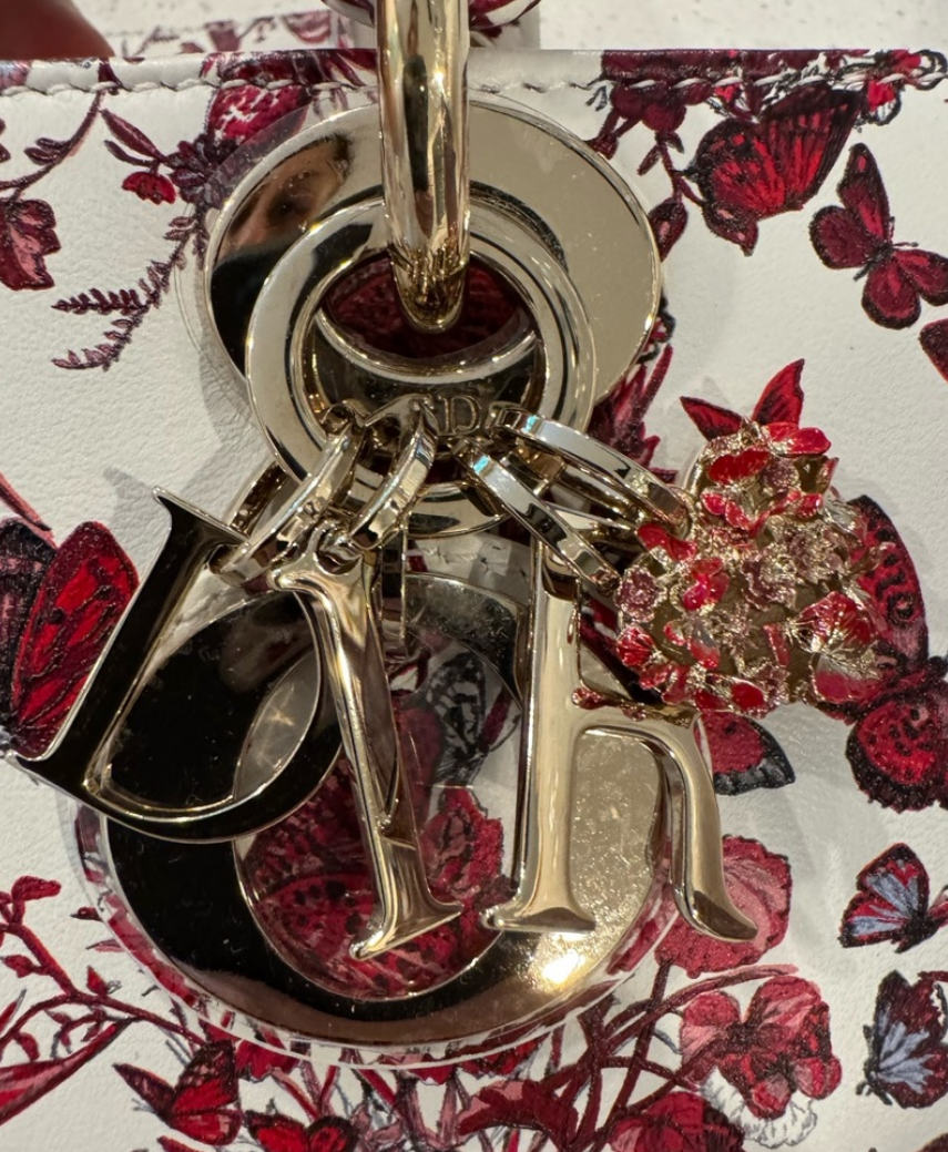 Dior Lady D-Joy bag Printed Leather