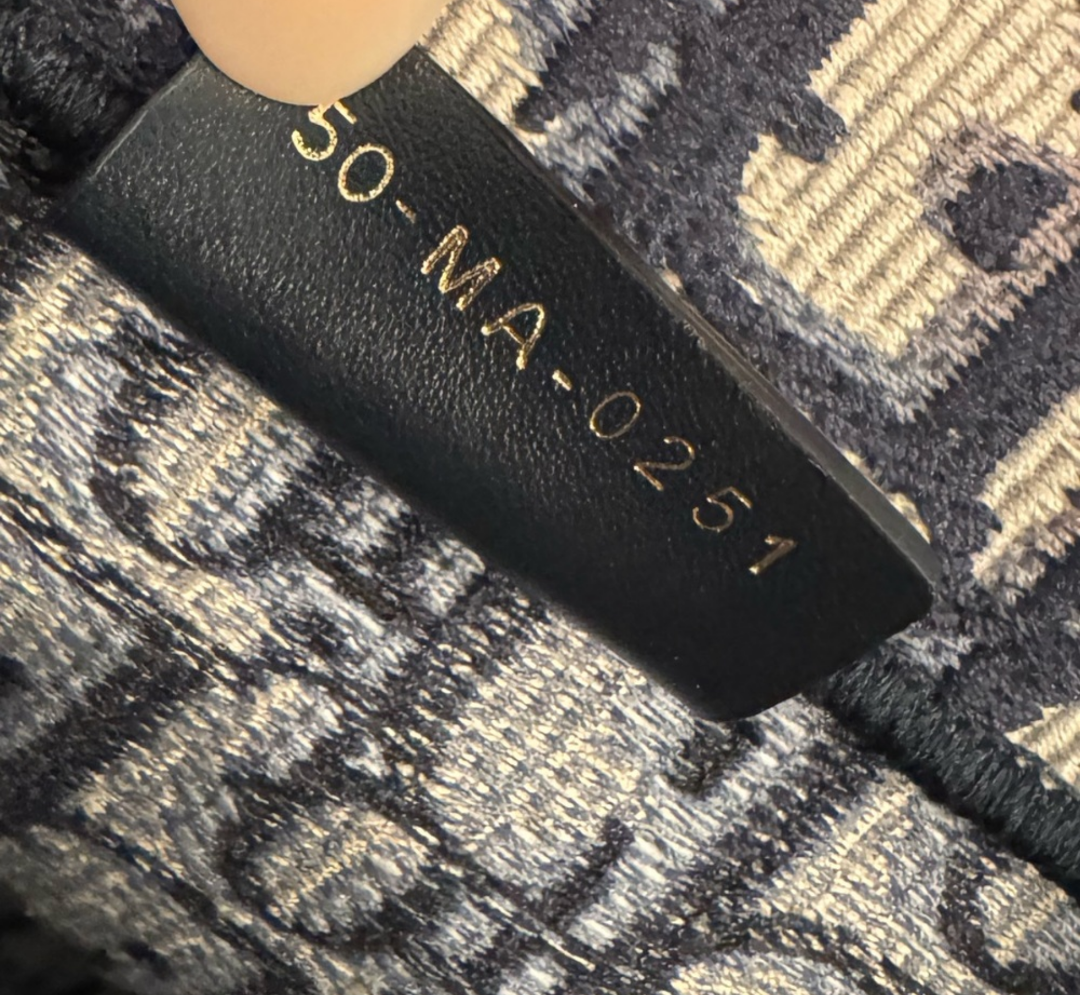 DIOR Blue Trotter Large Book Tote