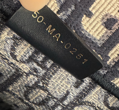 DIOR Blue Trotter Large Book Tote