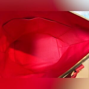Louis Vuitton Tournelle bag